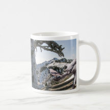 Clark's Nutcracker Haiku mug