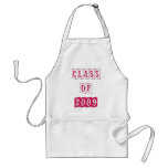 CLASS OF 2009 PINK PLAID DESIGN APRON