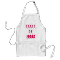 CLASS OF 2009 PINK PLAID DESIGN APRON