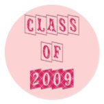 CLASS OF 2009 PINK PLAID DESIGN stickers