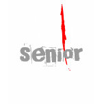 class of  2010 t-shirts