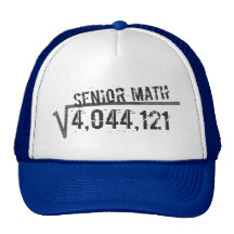 Class of 2011 - Senior Math Hats
