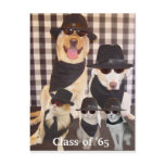 Class Reunion Invitation postcards