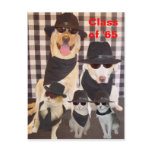 Class Reunion Postcard/Invitation