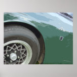 CLASSIC ALPINE posters