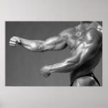 Classic Bodybuilding Gym Wall Arm Poster posters