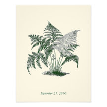 Classic Ferns Wedding Invitation