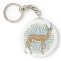 Classic Gazelle
