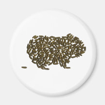 Classic Guinea Pig Magnets