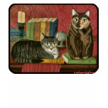 Classic Literary Cats Poe Dickens Stoker Art Shirt