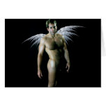 Classic Male Nude Angel cards