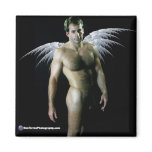 Classic Male Nude Angel magnets