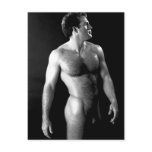 Classic Nude Male postcards
