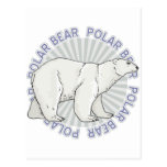 Classic Polar Bear Post Card