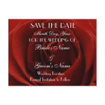 Classic Red Rose Save the Date Wedding Postcard
