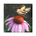 Classic Summer Scene magnets
