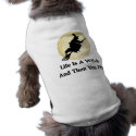 Classic Witch Saying pet clothing
