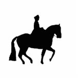 Classical Dressage 6 Sculpture photo sculptures