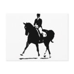 Classical Dressage 7 postcards