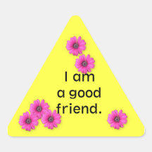 Classroom Behaviour Management  triangle sticker