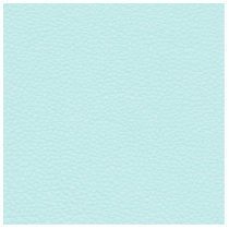 Classy Light Turquoise Printed Pattern. Photo Cutout