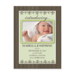 Classy Pinstripe Lime Baby Announcement Postcard
