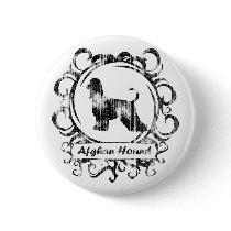 Classy Weathered Afghan Hound