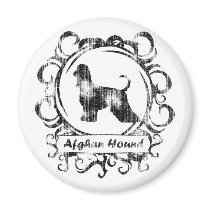 Classy Weathered Afghan Hound