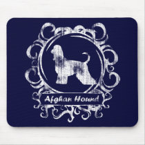 Classy Weathered Afghan Hound