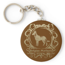 Classy Weathered Belgian Malinois
