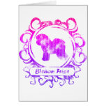 Classy Weathered Bichon Frise cards