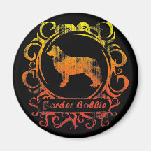 Classy Weathered Border Collie Magnets
