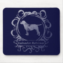 Classy Weathered Labrador Retriever