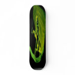 Clean the Pool skateboards