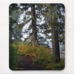 Clear Lake Hiking Trail Mousepads
