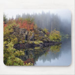 Clear Lake Mouse Pads