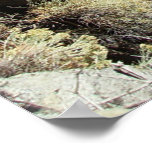 Clear Lake Print