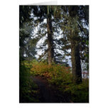 Clear Lake Trail Greeting Cards