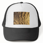 clear path hats