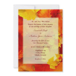 Clearly Fall Border 5x7 Wedding Invitations