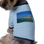 Clearwater Beach pet clothing
