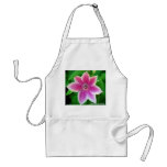 Clematis apron