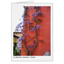 Clematis, Ascona, Ticino Greeting Card