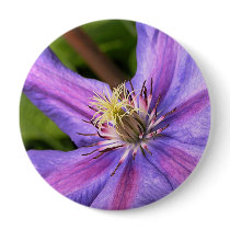 Clematis Button