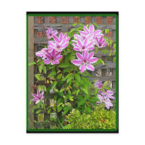 Clematis Cluster Postcard