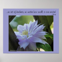 Clematis Flower Kindness Inspirational Poster