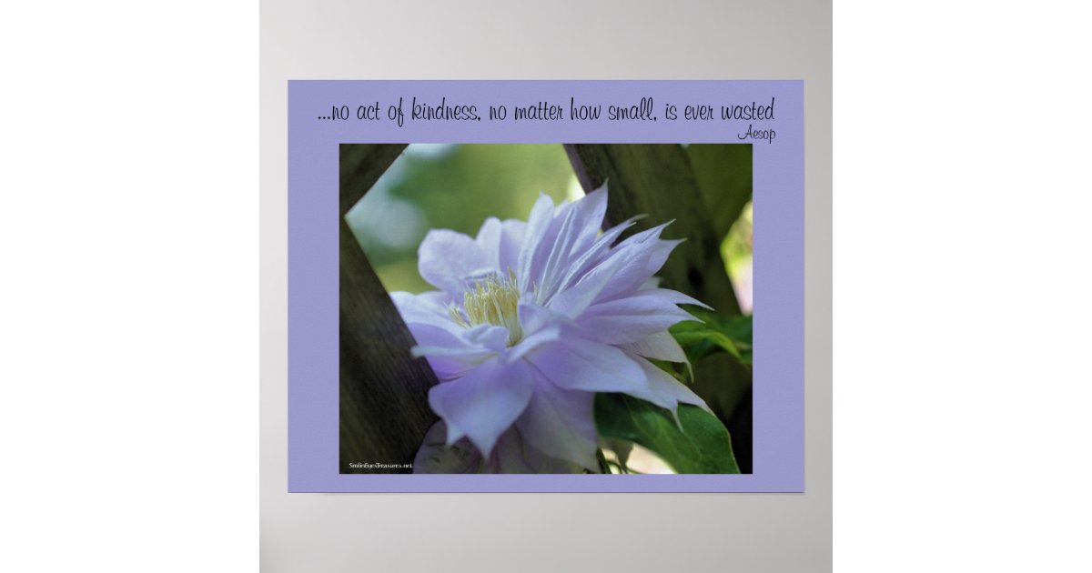 Clematis Flower Kindness Inspirational Poster Zazzle