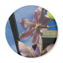 Clematis Look Up Magnet