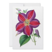 Clematis Magnifica Invitations