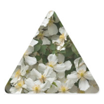 Clematis Montana Sticker